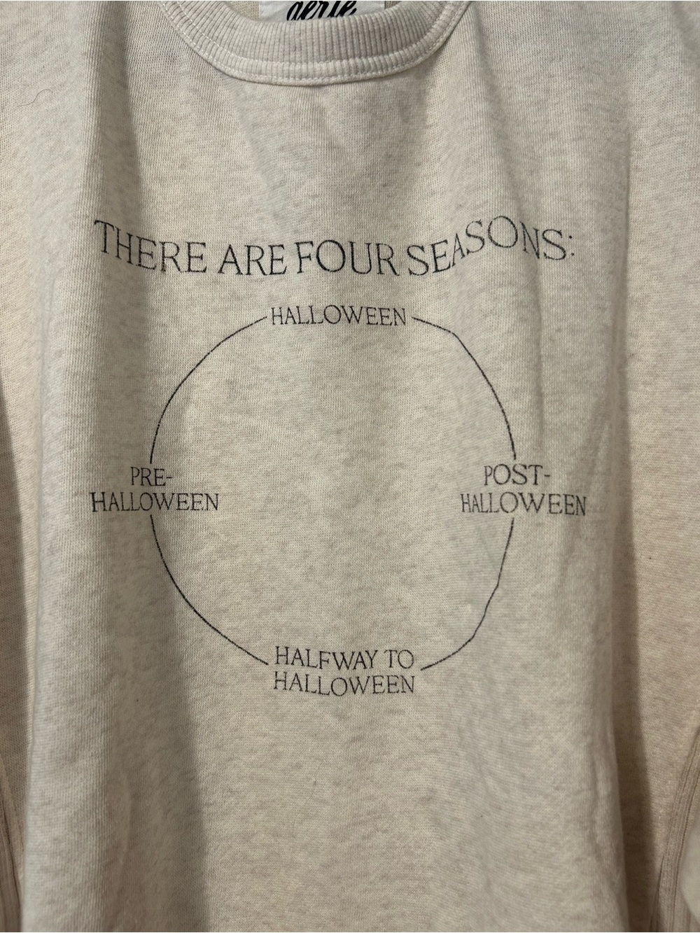 aerie Halloween Cream Graphic Sweatshirt - 'There Are Four Seasons' - Picture 2 of 4